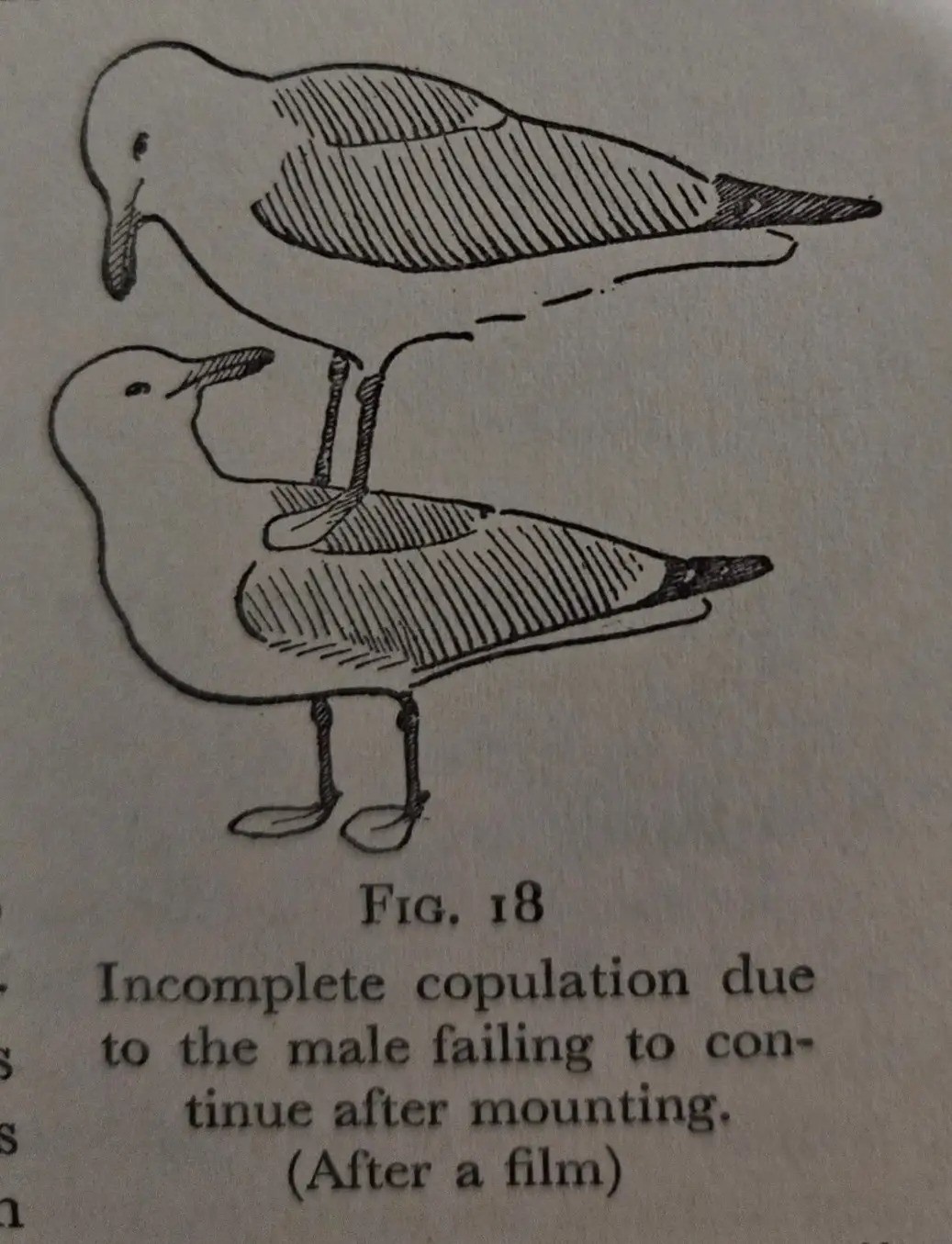 32ef2567-da36-433d-bdad-dfa3b4229dd1