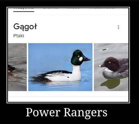 51048f78-7770-43ee-9d4e-becaa5780dfe