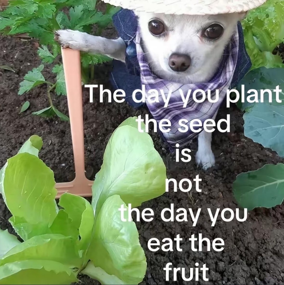 066ffe22-b0bc-45b7-9e46-a20afef9340b