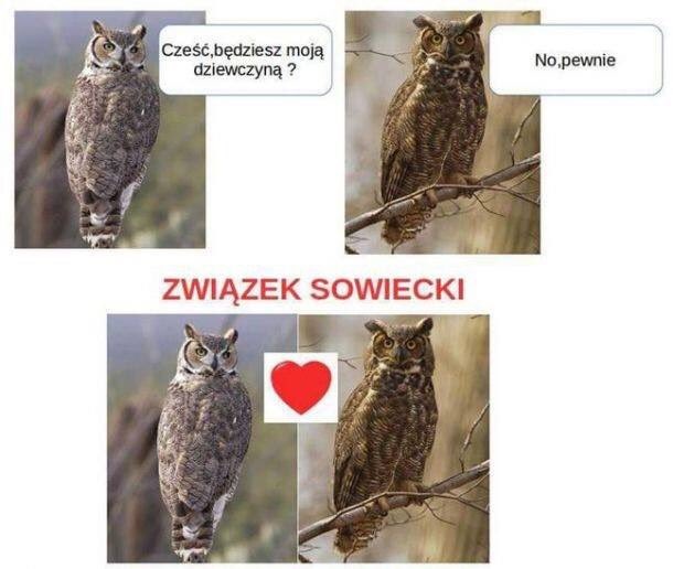 7626975a-e5ea-486b-aef6-d1af2bc2a1b8