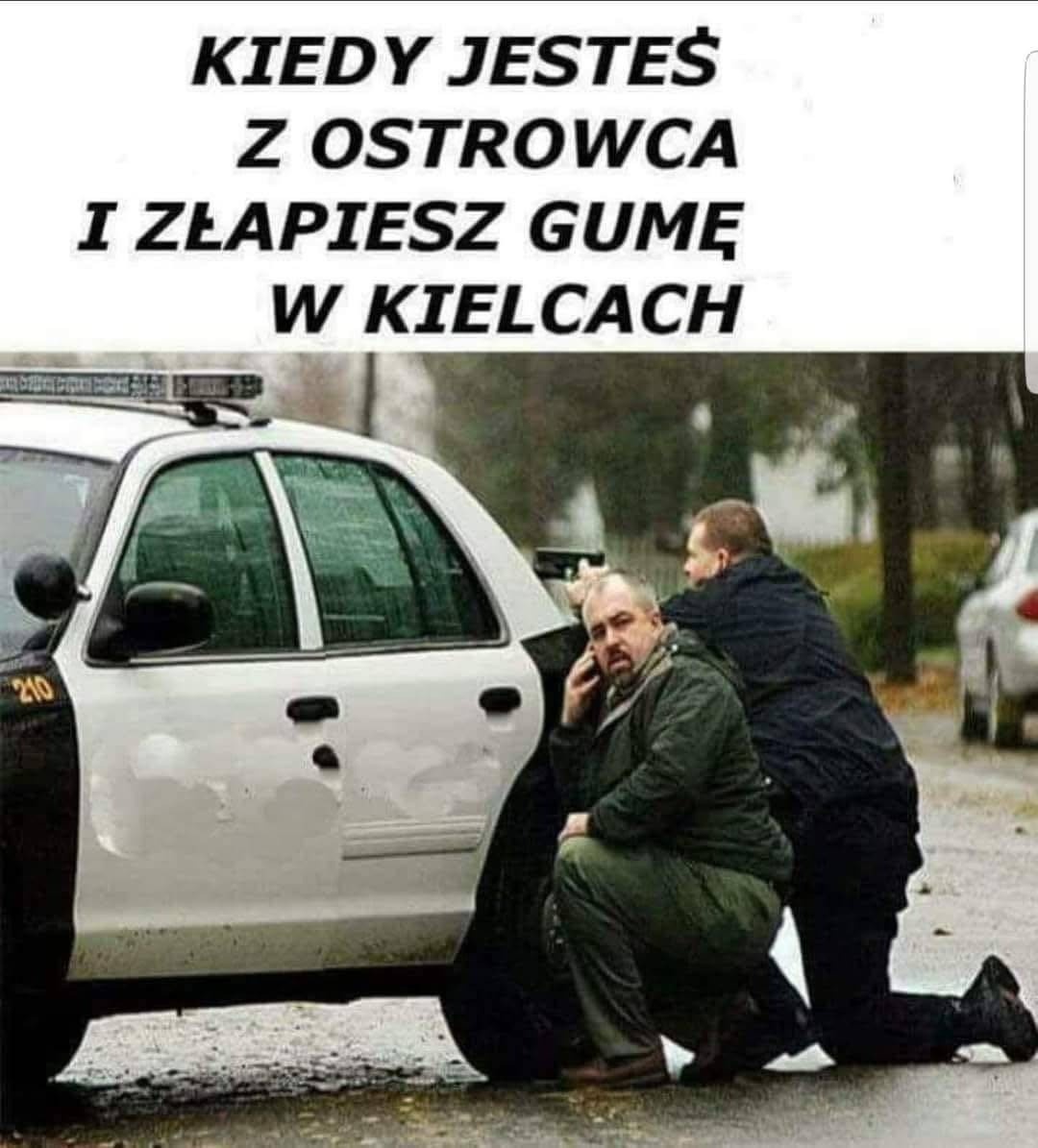 5b955cf8-7452-4034-9658-2043fc2e6122