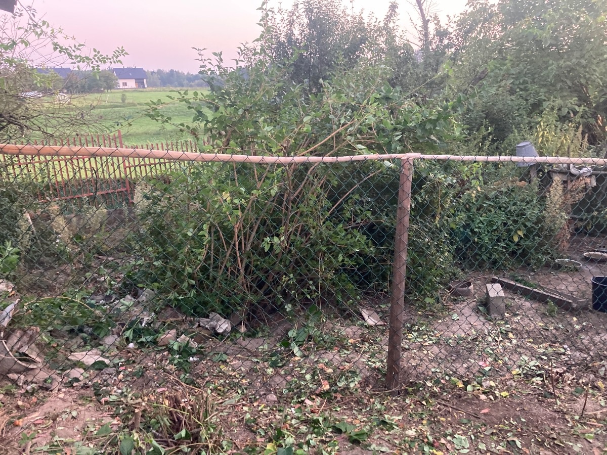 22c67800-cb4c-4846-83d6-06ea93d6d58d