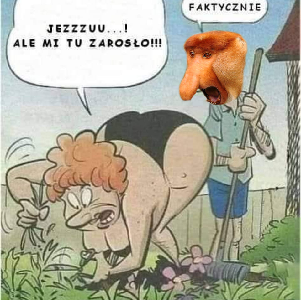 af1c3ab8-d7f1-437e-8e2d-b8ff34235a39