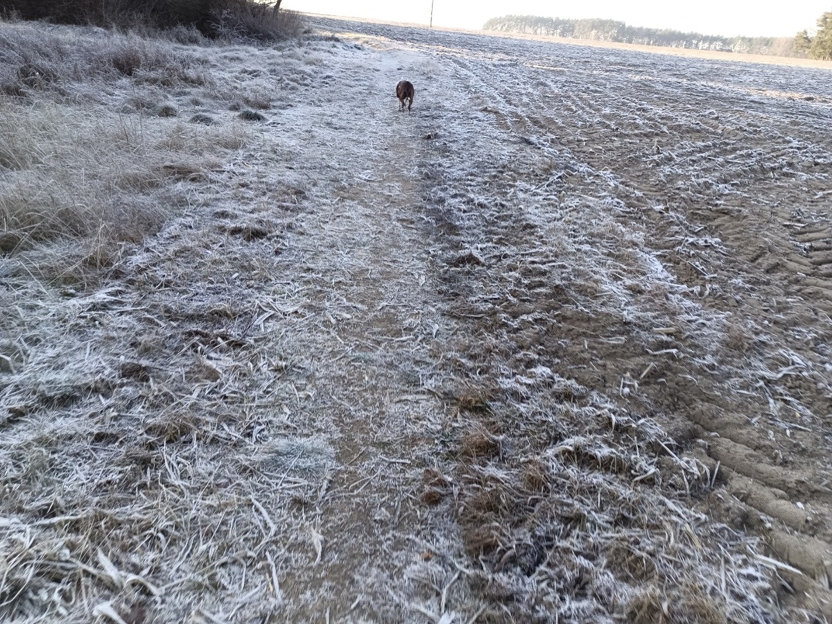 60fa6704-024d-45ed-9ce3-cdcd93f749ea