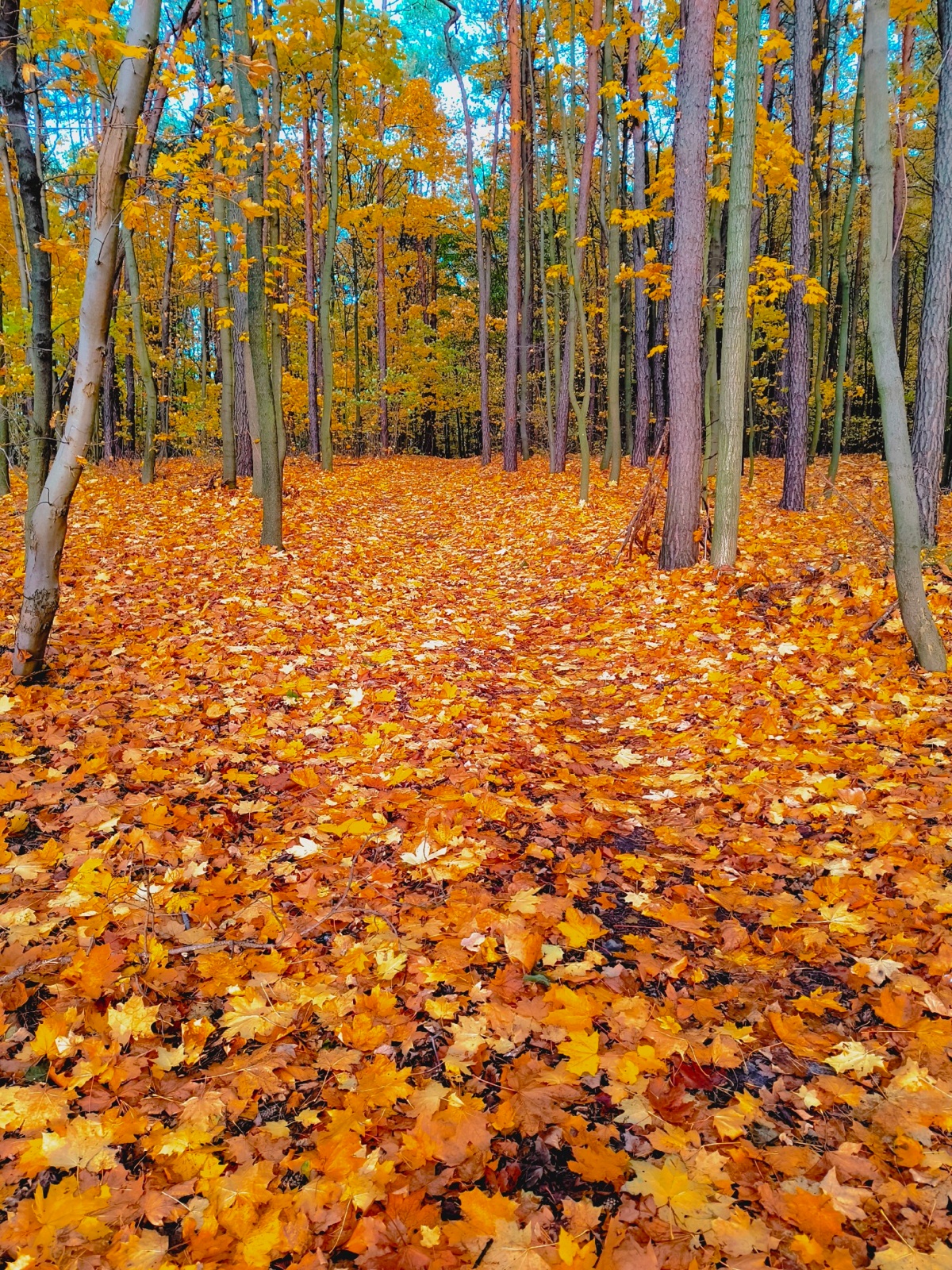 484b0a9a-1eb7-436a-9568-28ef59fd1b2c