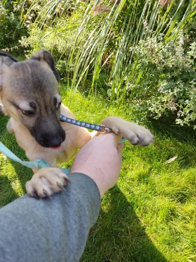 36fa680e-863f-49a8-9e90-c42deaaf6ecb