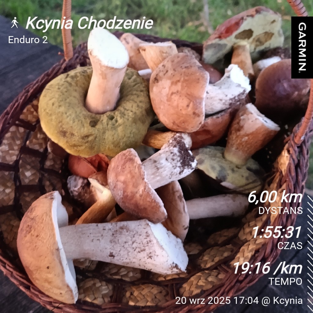 bc2c509f-ce65-4731-9d37-958128be41cf