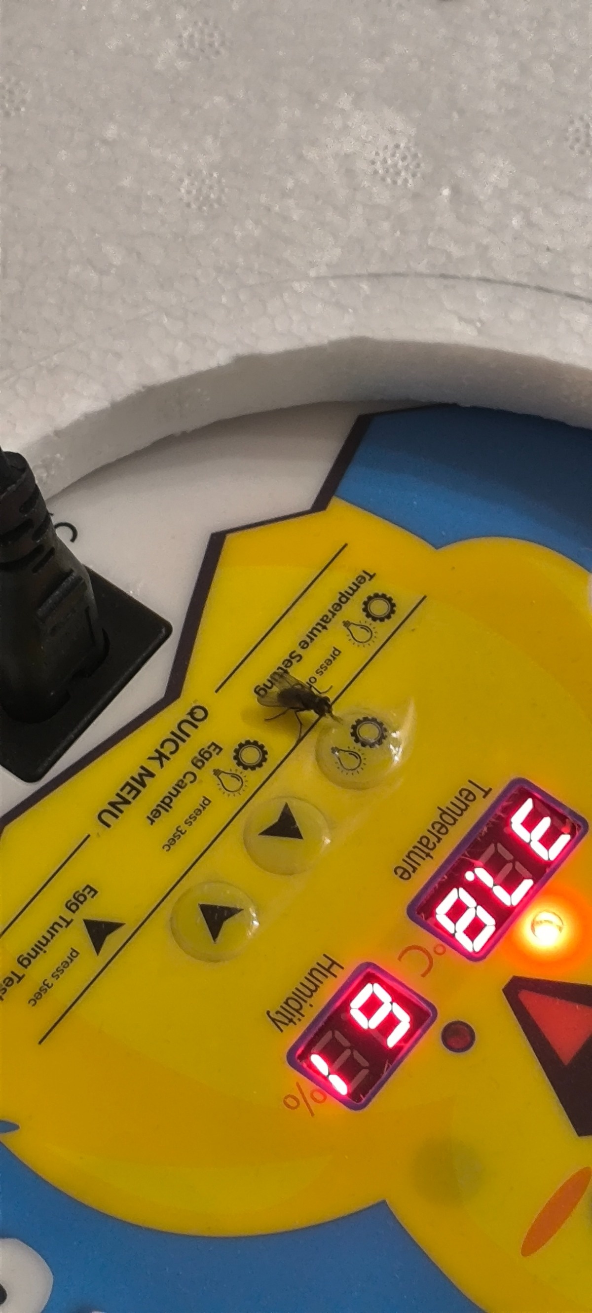 f94fa8a2-38a8-4a31-9ff3-a5847301dc9c