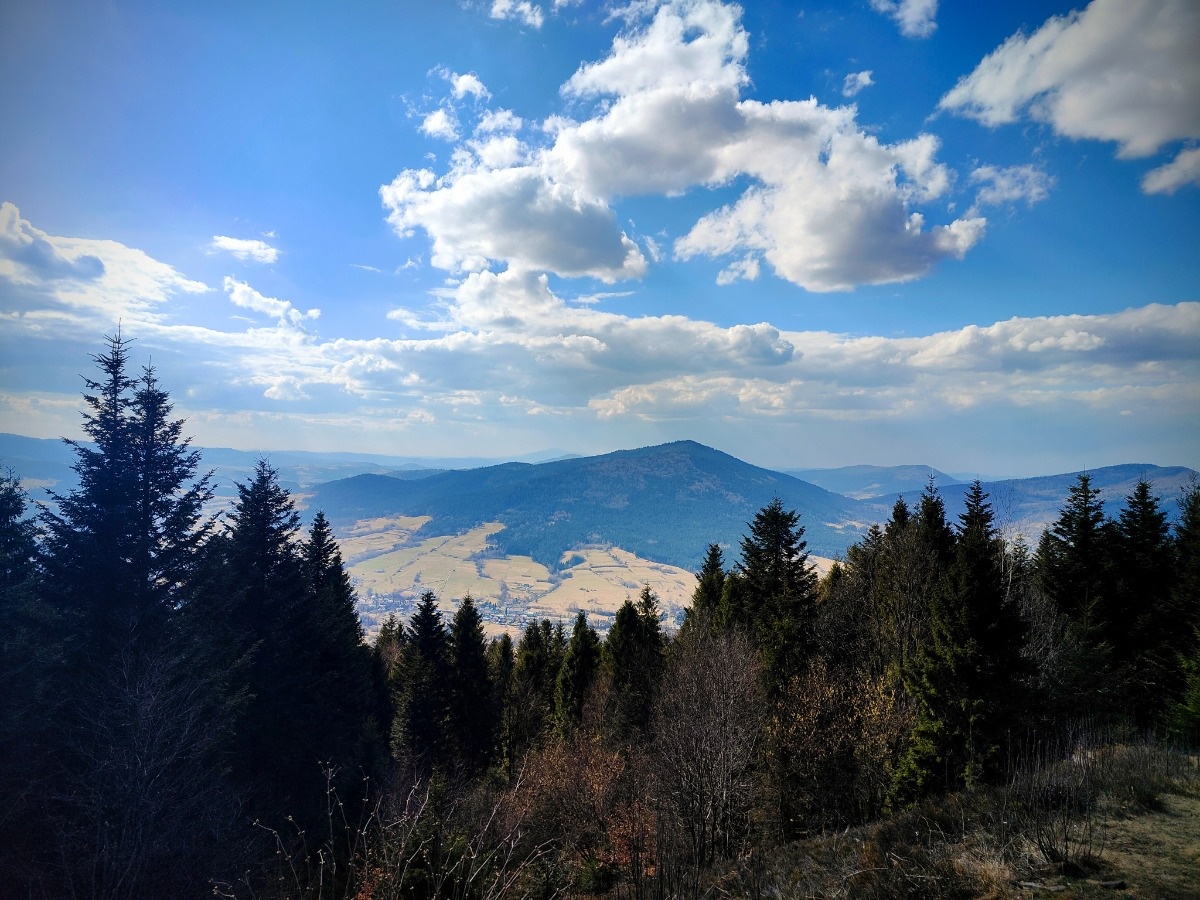 a535c268-da4e-4aee-8fcf-6988440fbb4c