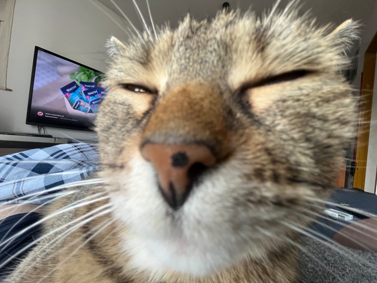 80a27c06-0945-4972-9f22-8753f2dd9495