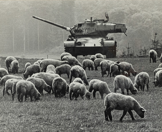 261d534f-f831-4d7c-a1d6-3ccfe880f297