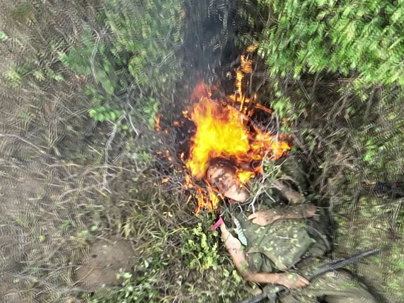 bbd65f11-46c8-48ab-9862-db495f18105a