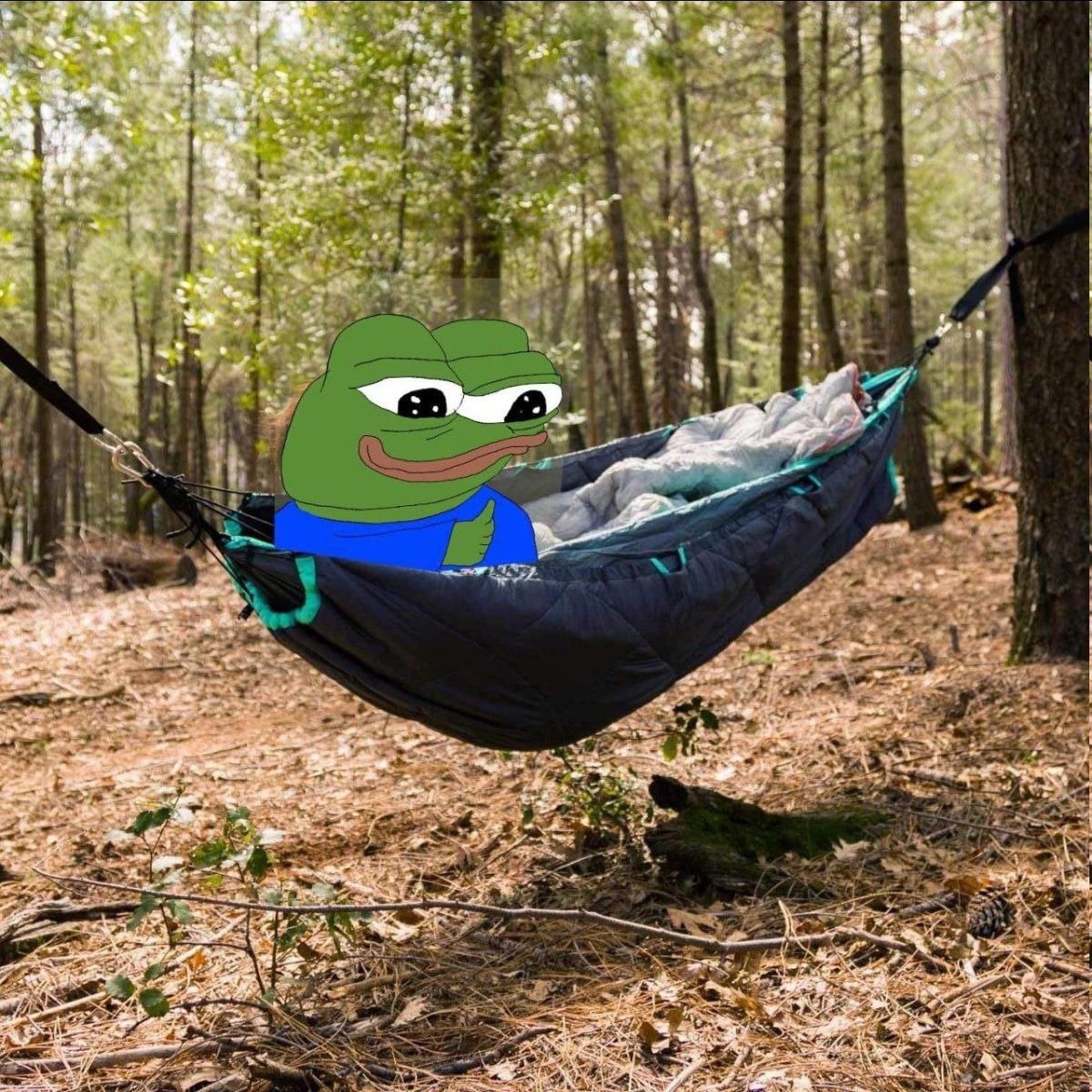 117e19c7-d923-41c3-8b38-a0145fe96a1b