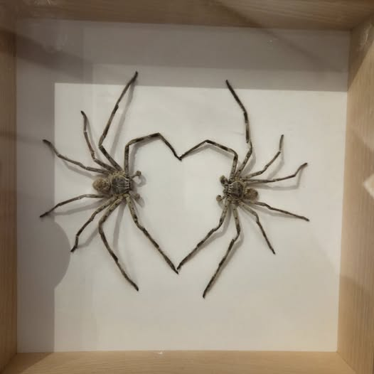 4e6e6e57-ee41-422a-af1a-10a419fec016