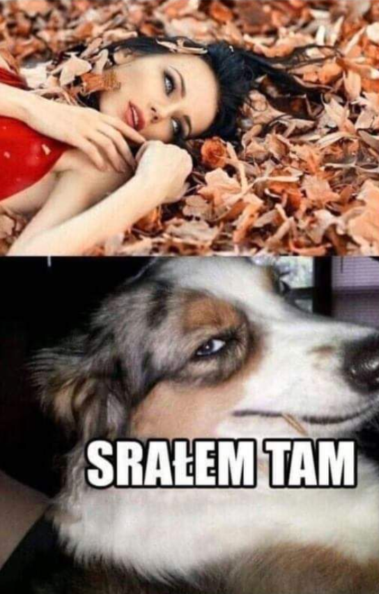 e673d059-21c0-40e8-bf7c-ec2f31575508