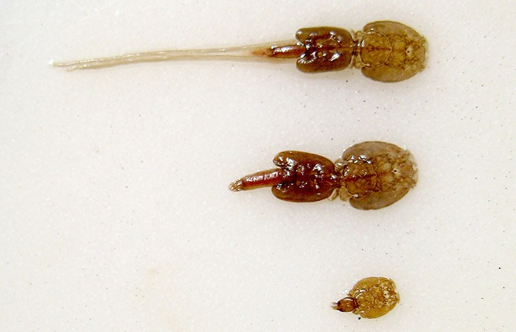 76c846bf-c5f5-465a-a7d0-88ca06bfb046