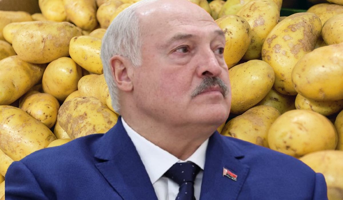 Białorusi skończyły się ziemniaki. "Sprzedaliśmy wszystko Rosji". Pomoże Europa?