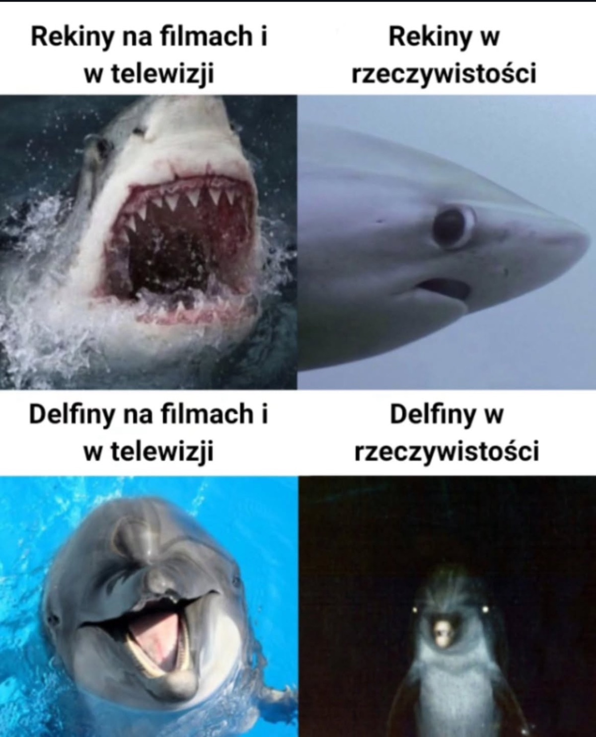 fca77789-30ac-40f6-9c48-c209d52cfeb5