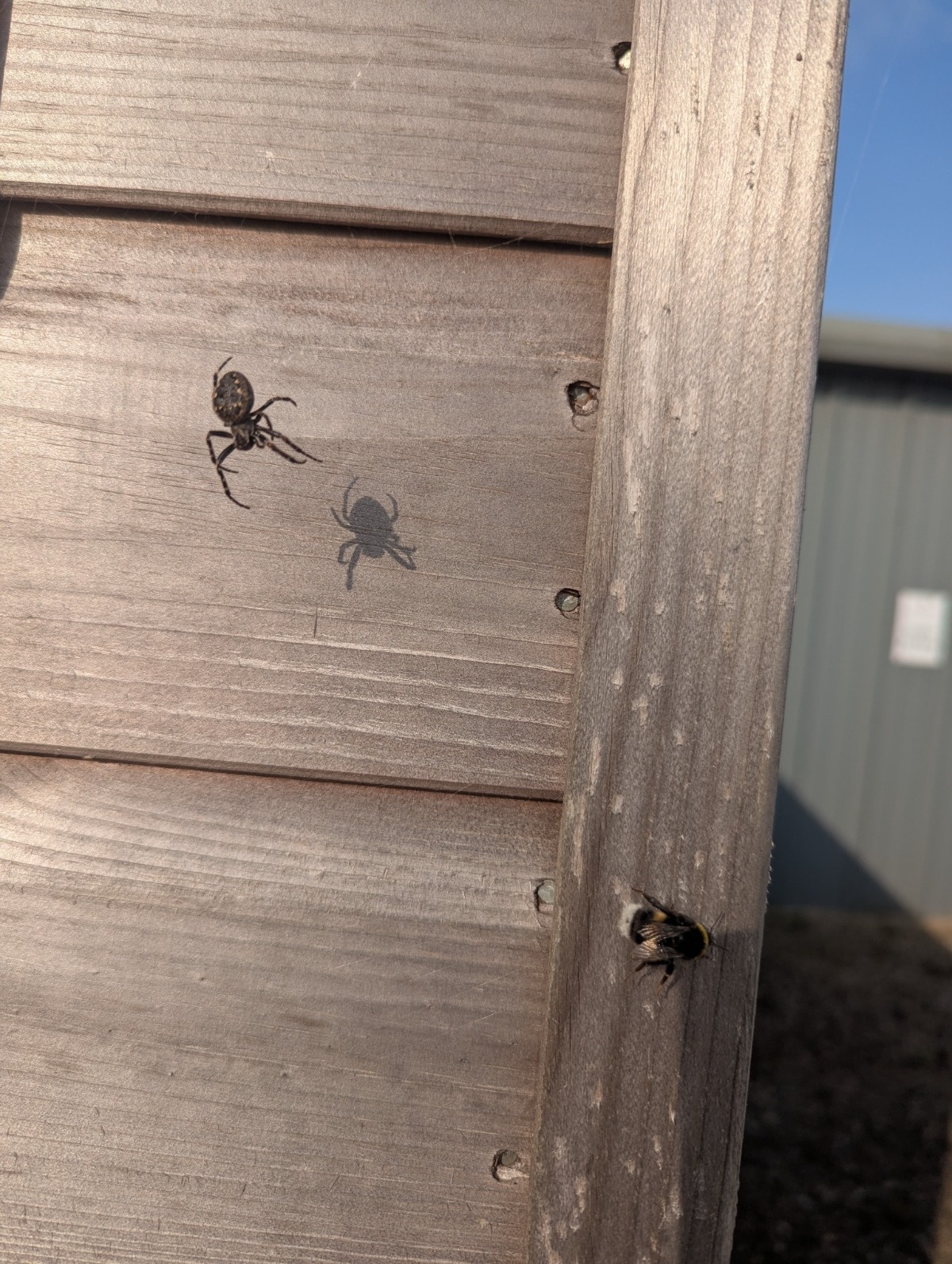 4b8e04a1-970e-4ab2-a026-7eff4075fff5