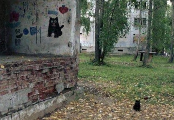 b5679a54-f103-4e93-81ff-abc79fc9a47d