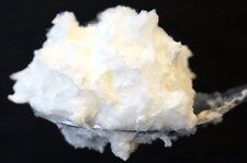 Grzyby będą znosić jajka? Trichoderma reesei produkują białko kurze