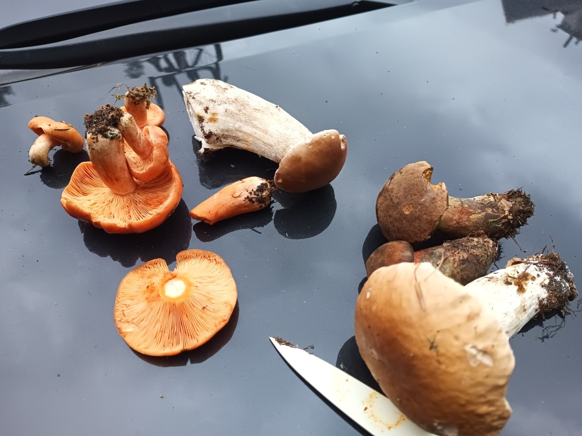 23bedce9-8e29-4f50-9cfd-79ec4ba701ef