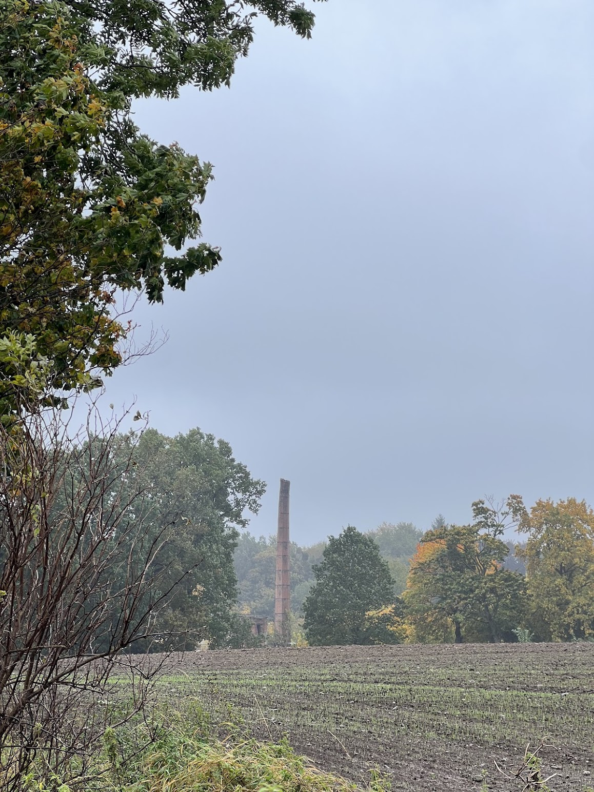 9df6c8d4-508a-4c71-af82-d81a6fad9c56