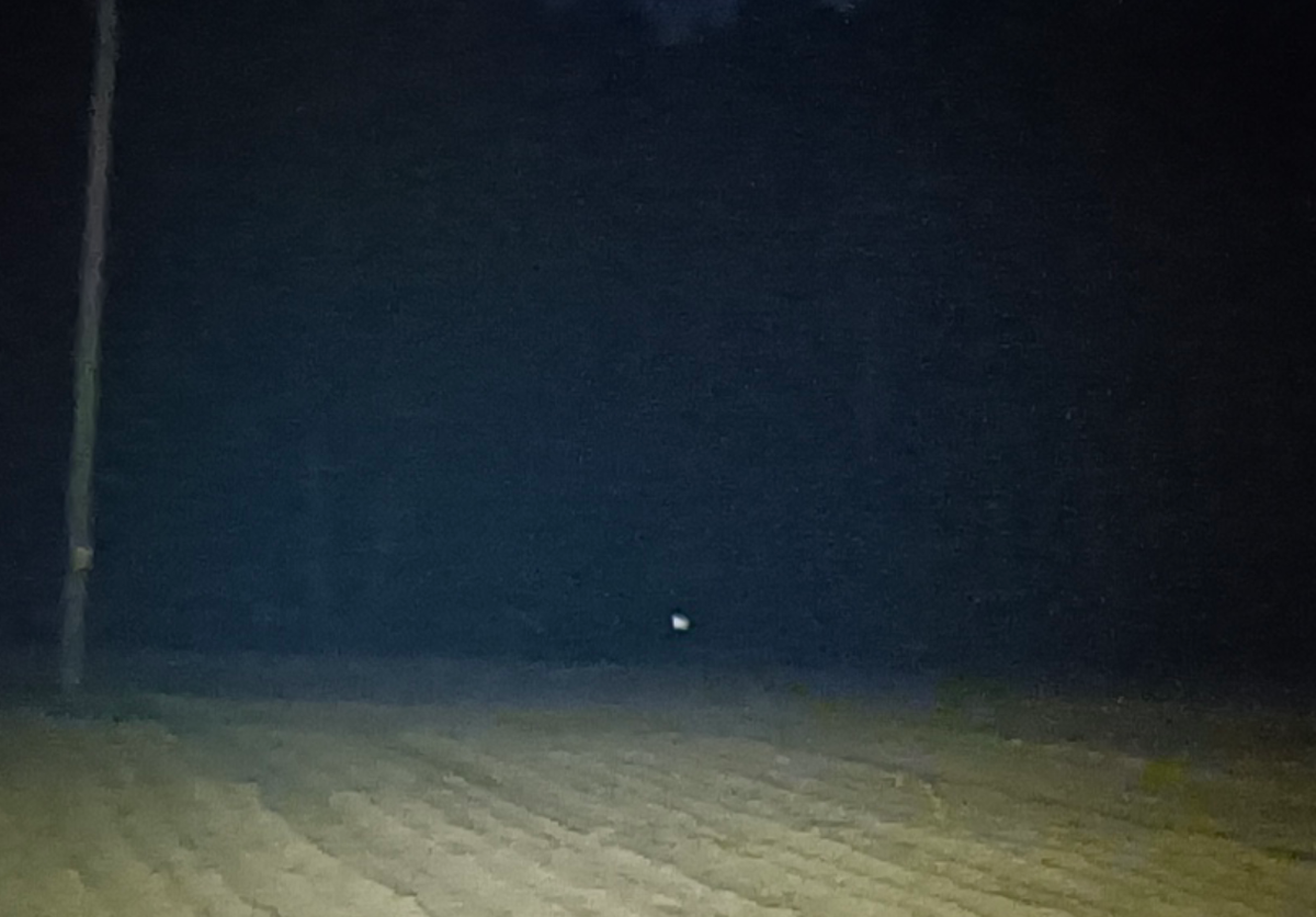 e3dc9439-d80b-4de7-97ee-dfd2848f03e6