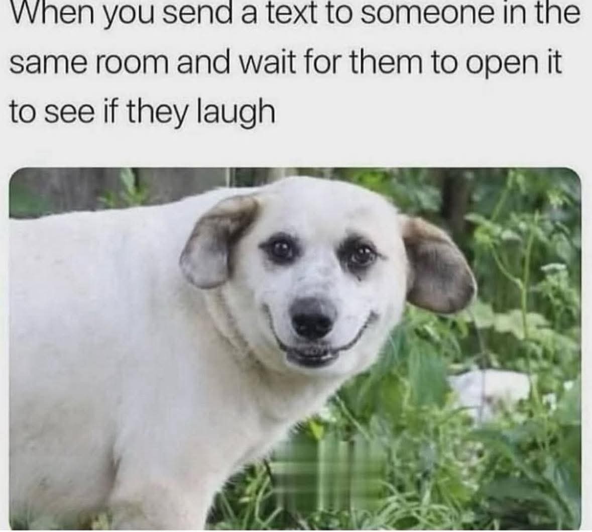 84a03fe2-0903-4977-9159-12405d8e5678