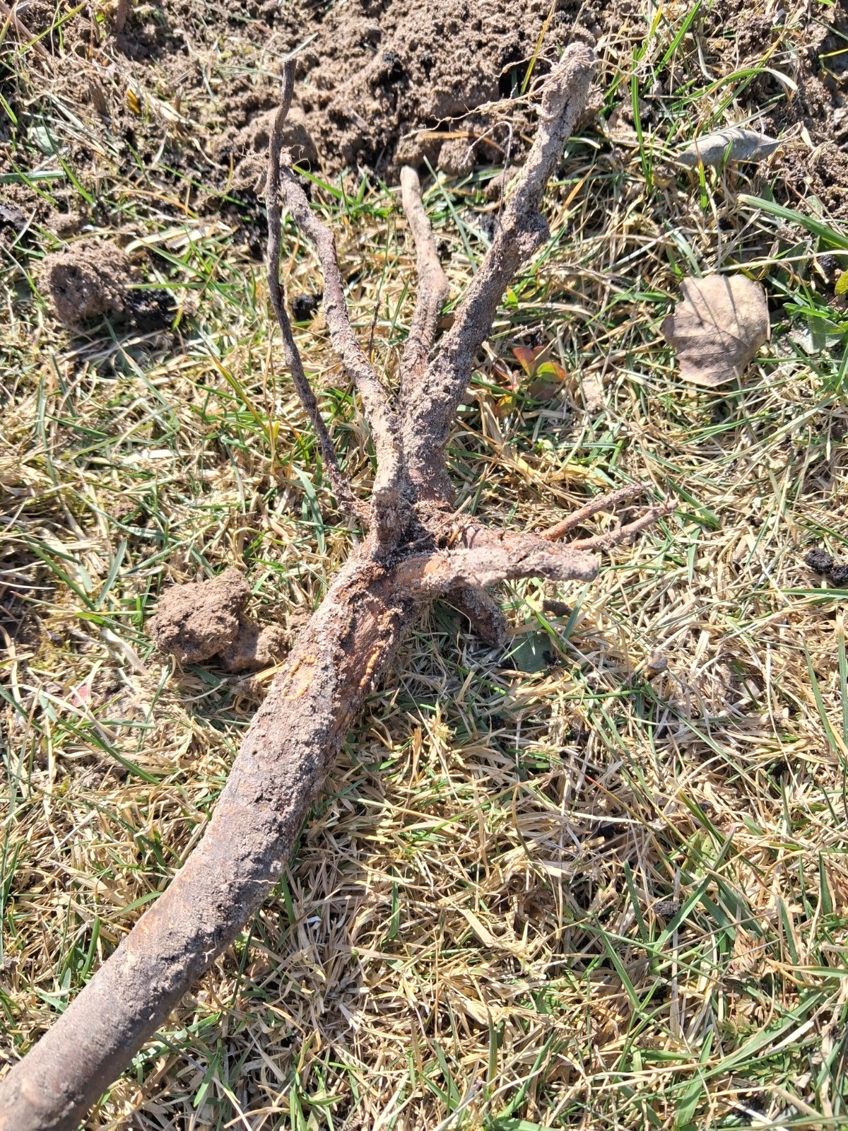 d3ddfd39-b066-4c19-88c8-391c29a86b25