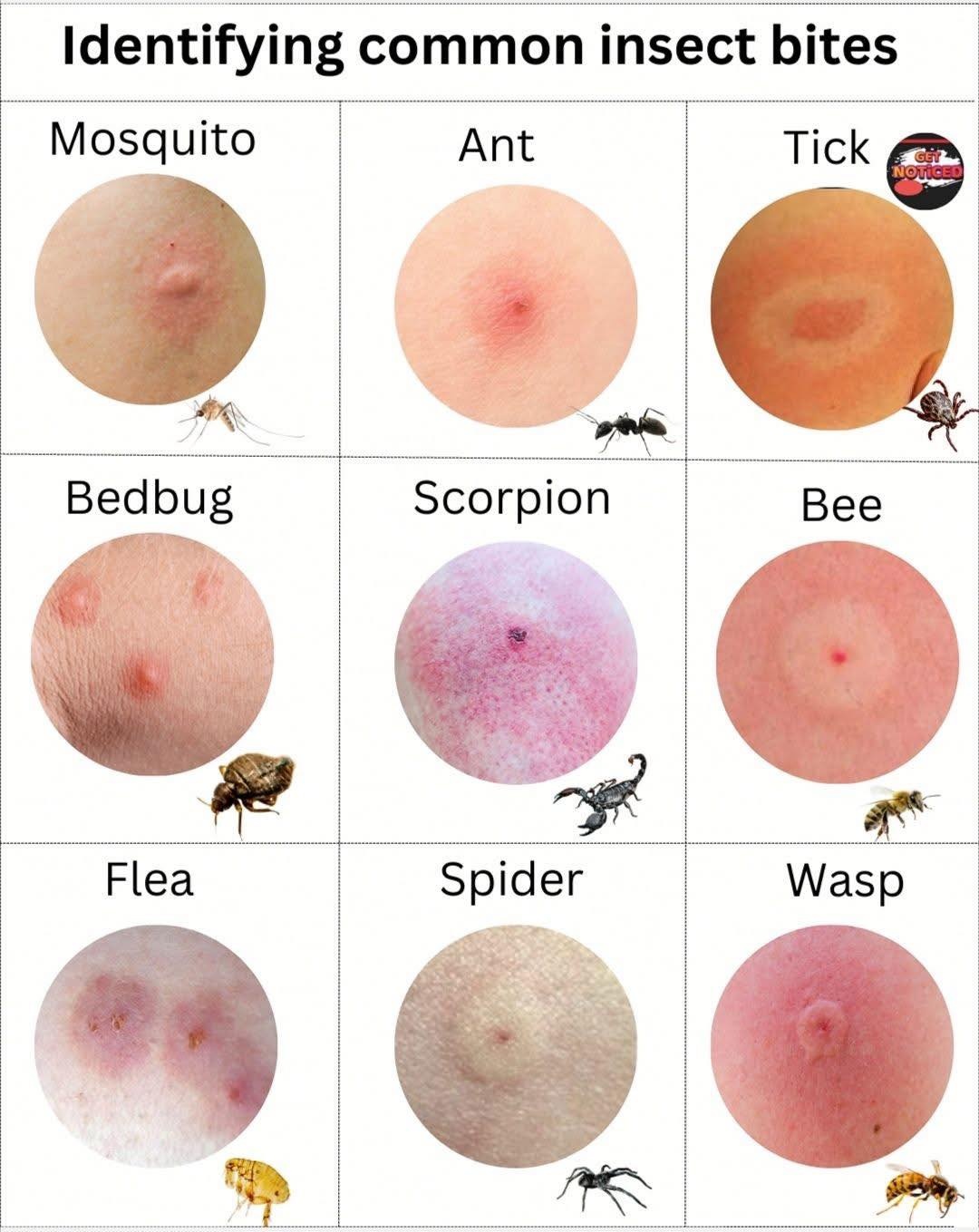 15c943c4-1fd7-4cf3-b6b7-59c16781f9c1