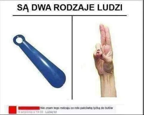 01a31d70-c013-4662-8741-1f7423eedc24