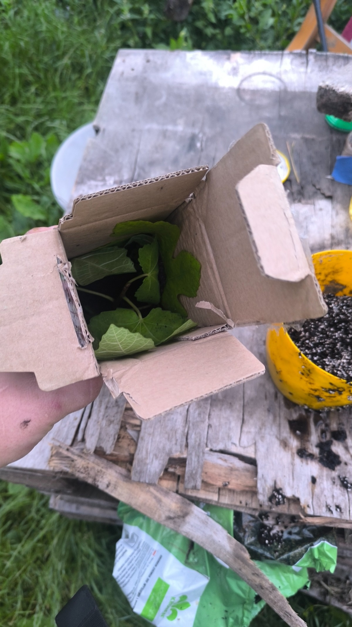 78f665fd-30eb-46ab-a038-1ae499409898