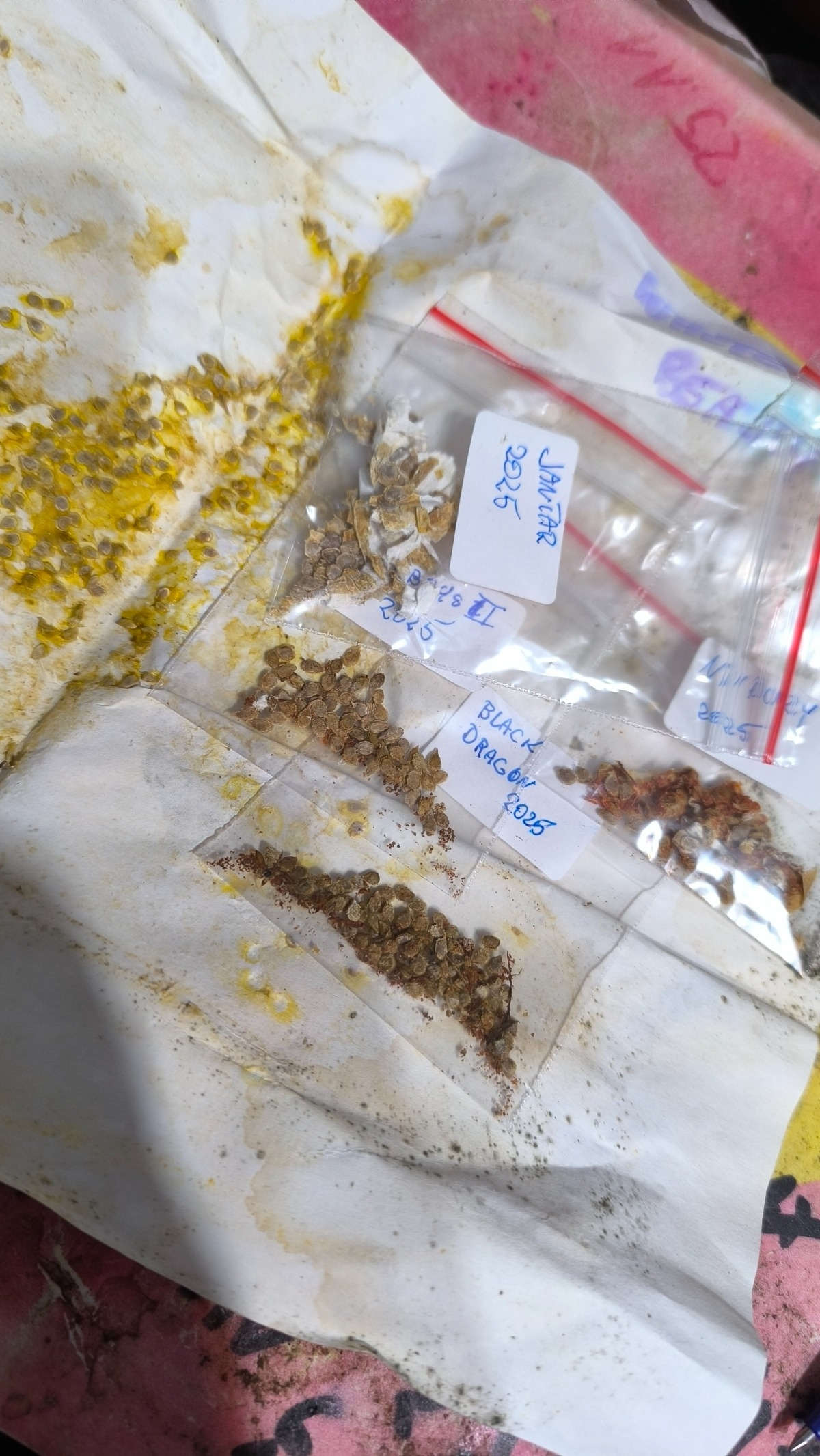 30d98a8b-810b-4012-a7de-ec210f07bf3b