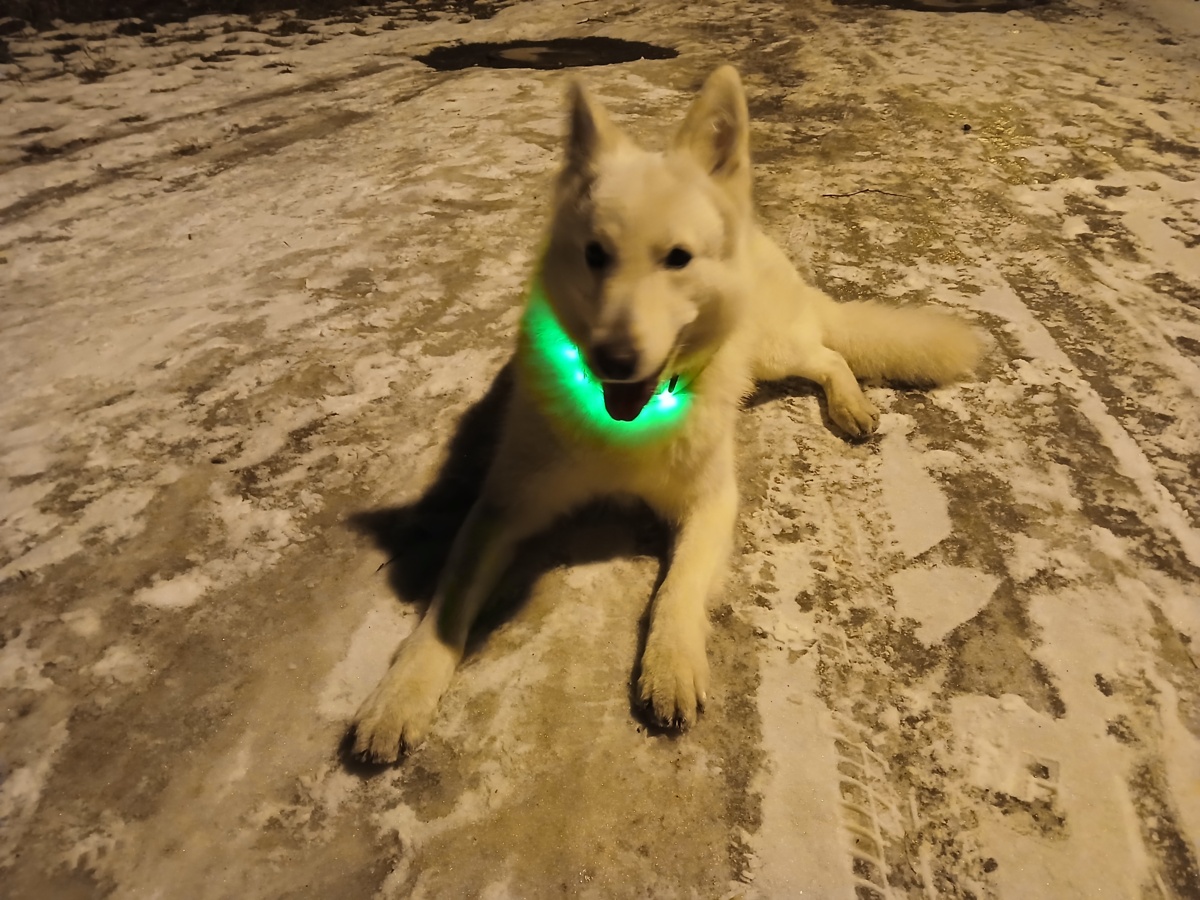 b0760d05-7f2b-4593-a448-3408ed6207e3