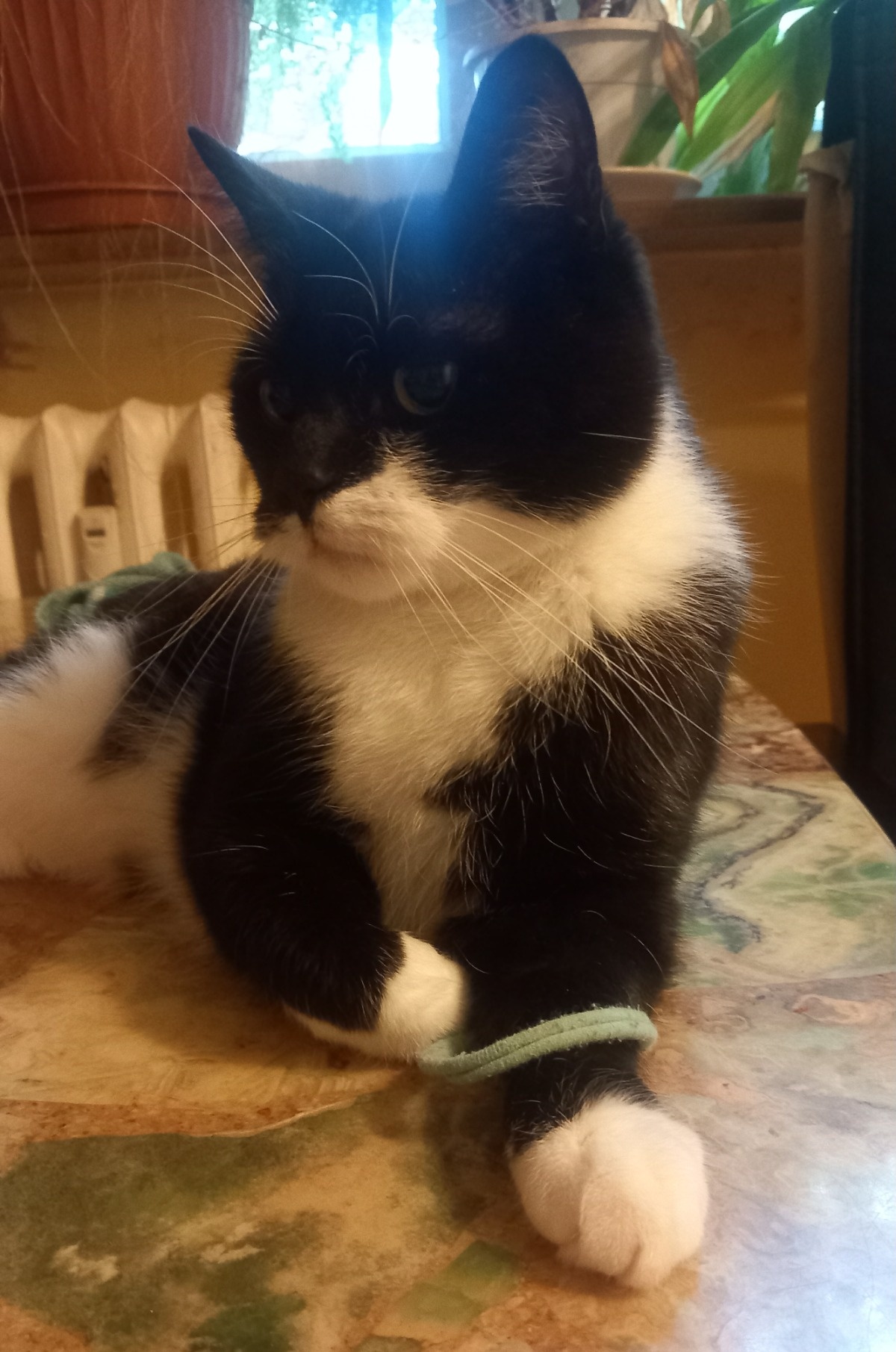 1530ca5d-2ca4-4643-94a3-144f32d33417