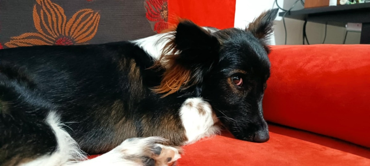 ff782ed5-af58-4617-a490-25bd56b4e16a