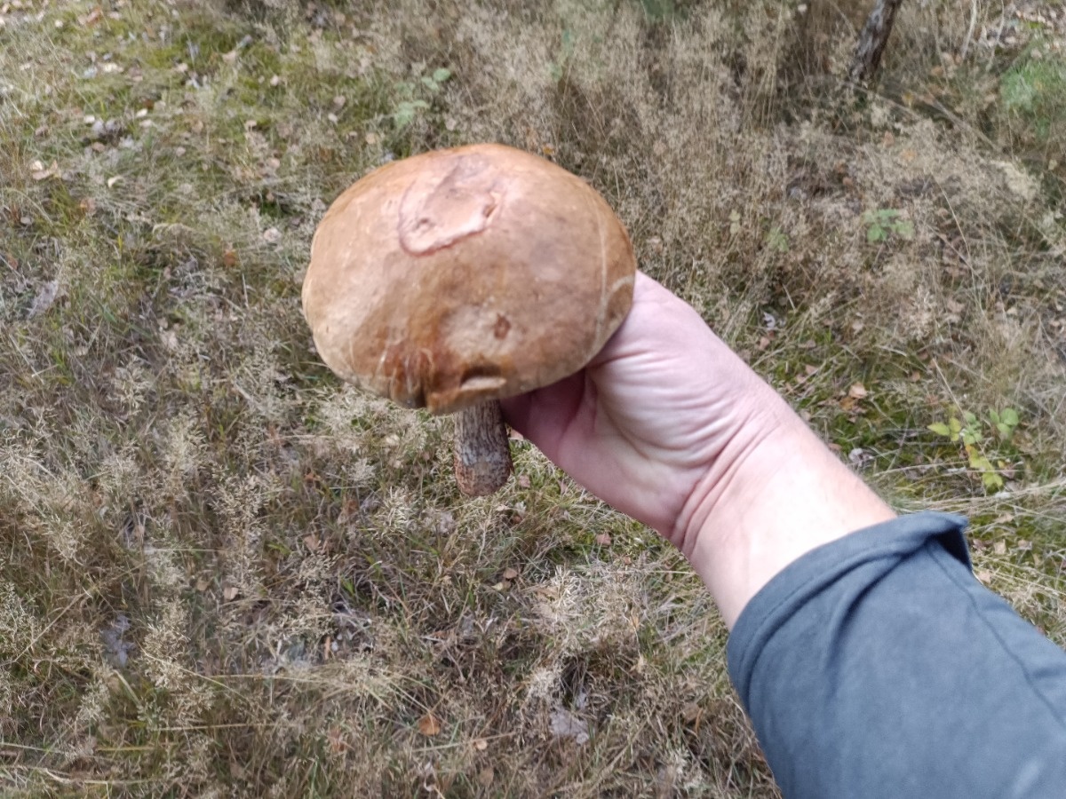 ba37fad5-b3e7-4949-9f05-f7184e048455