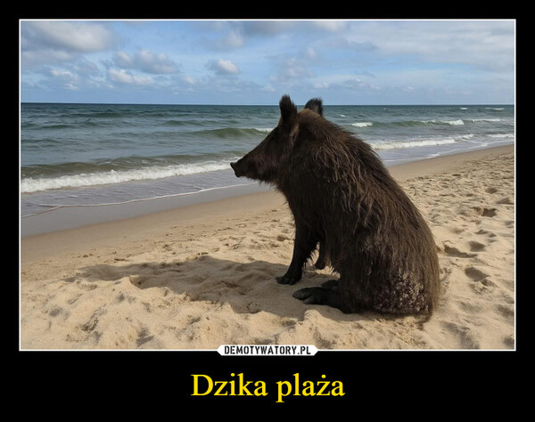 f0b19d73-4428-4368-a951-055b5c5336a1