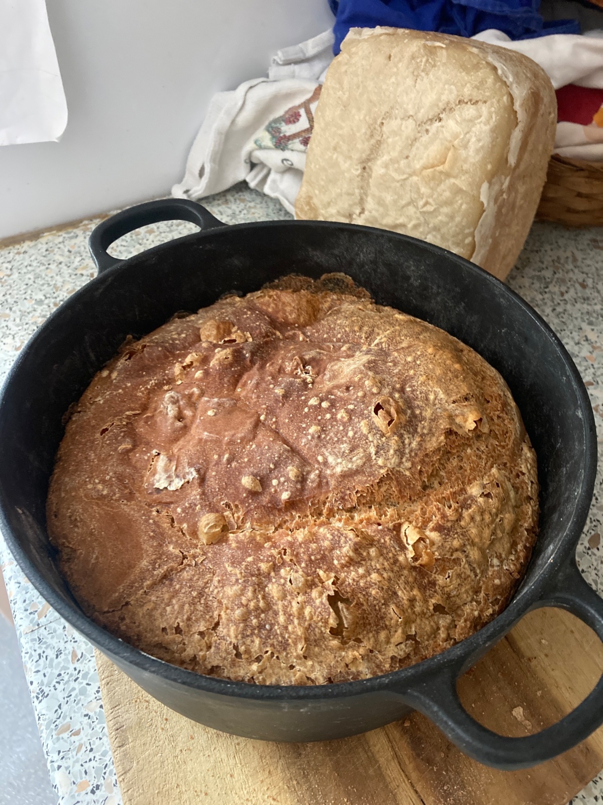 2814261f-70ef-45a2-9cb8-43e558db11c0