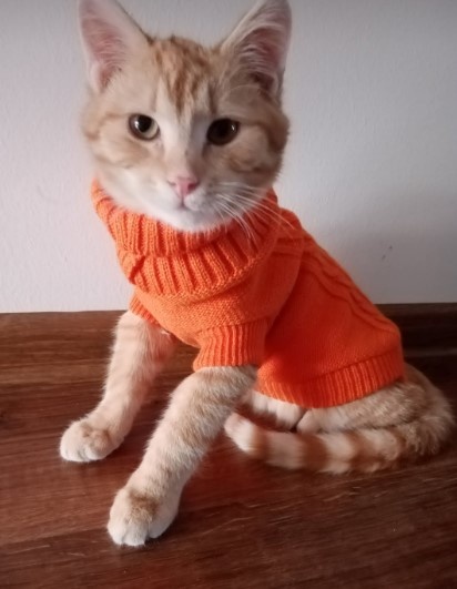 6f9d93ce-4ed0-4ce4-8faf-fb1e1a359e52