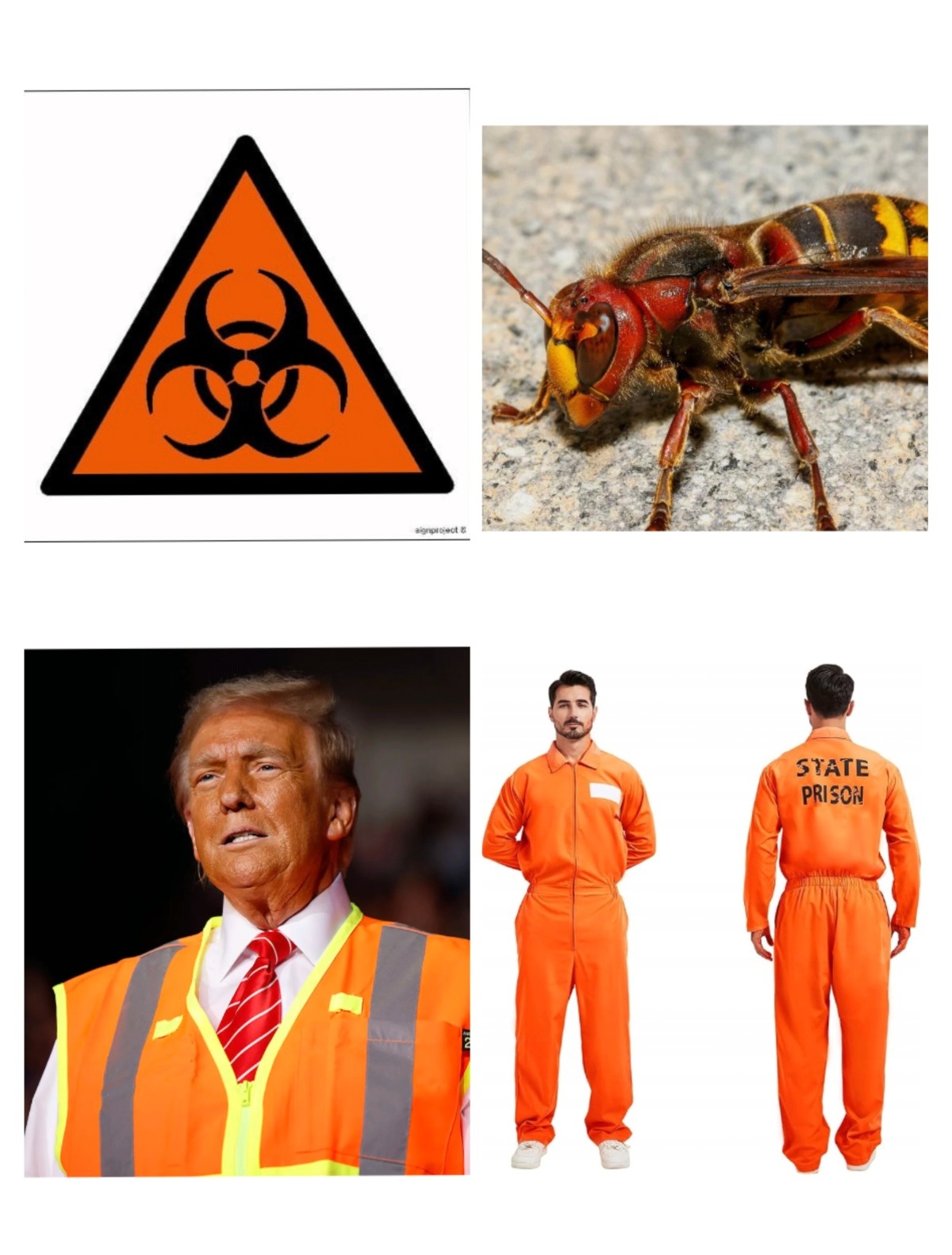 6662c43d-8a48-4b2e-add1-c93626d1eff6