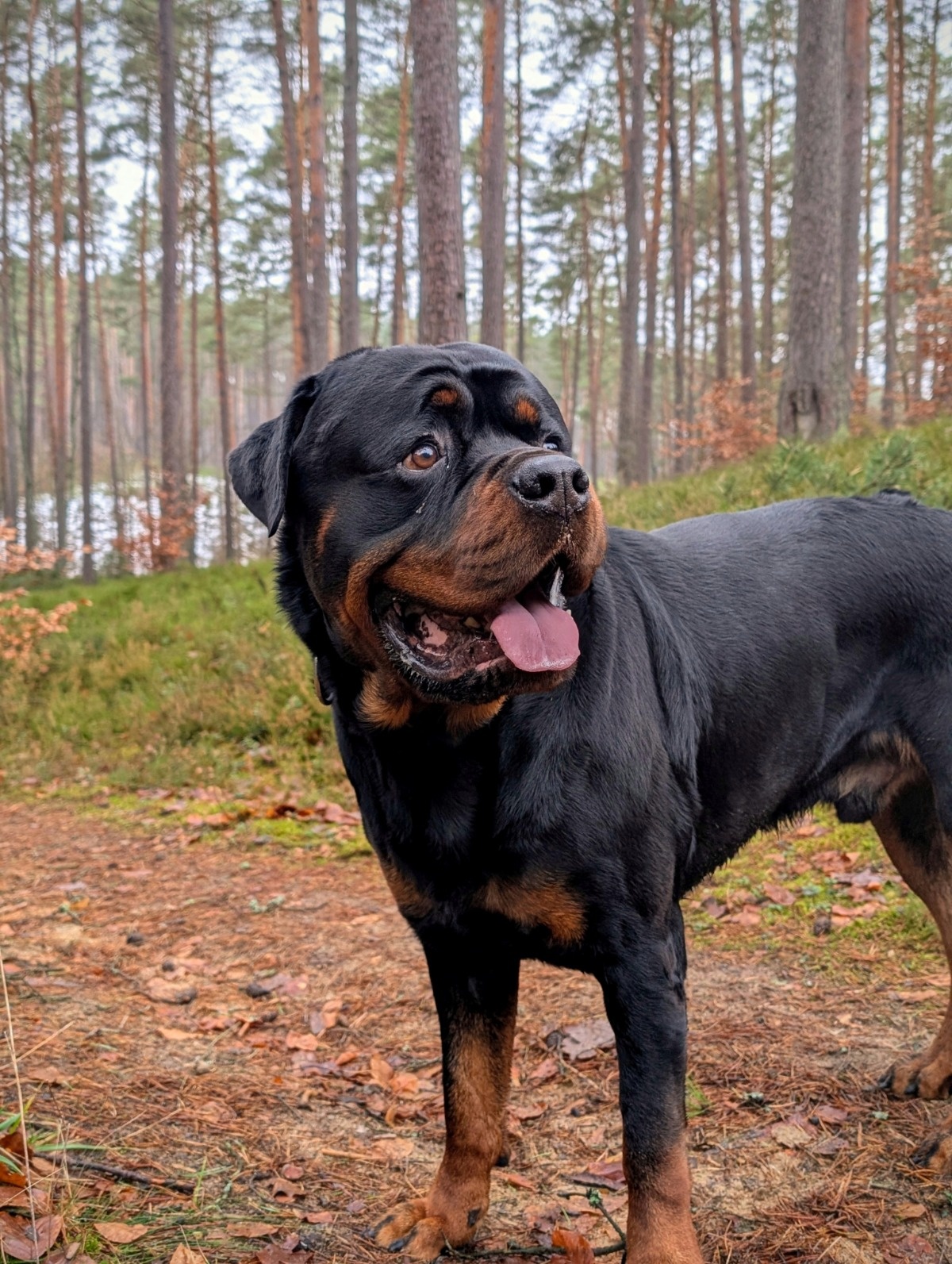 9a518a98-0620-4502-b78c-4cb77548d0d8