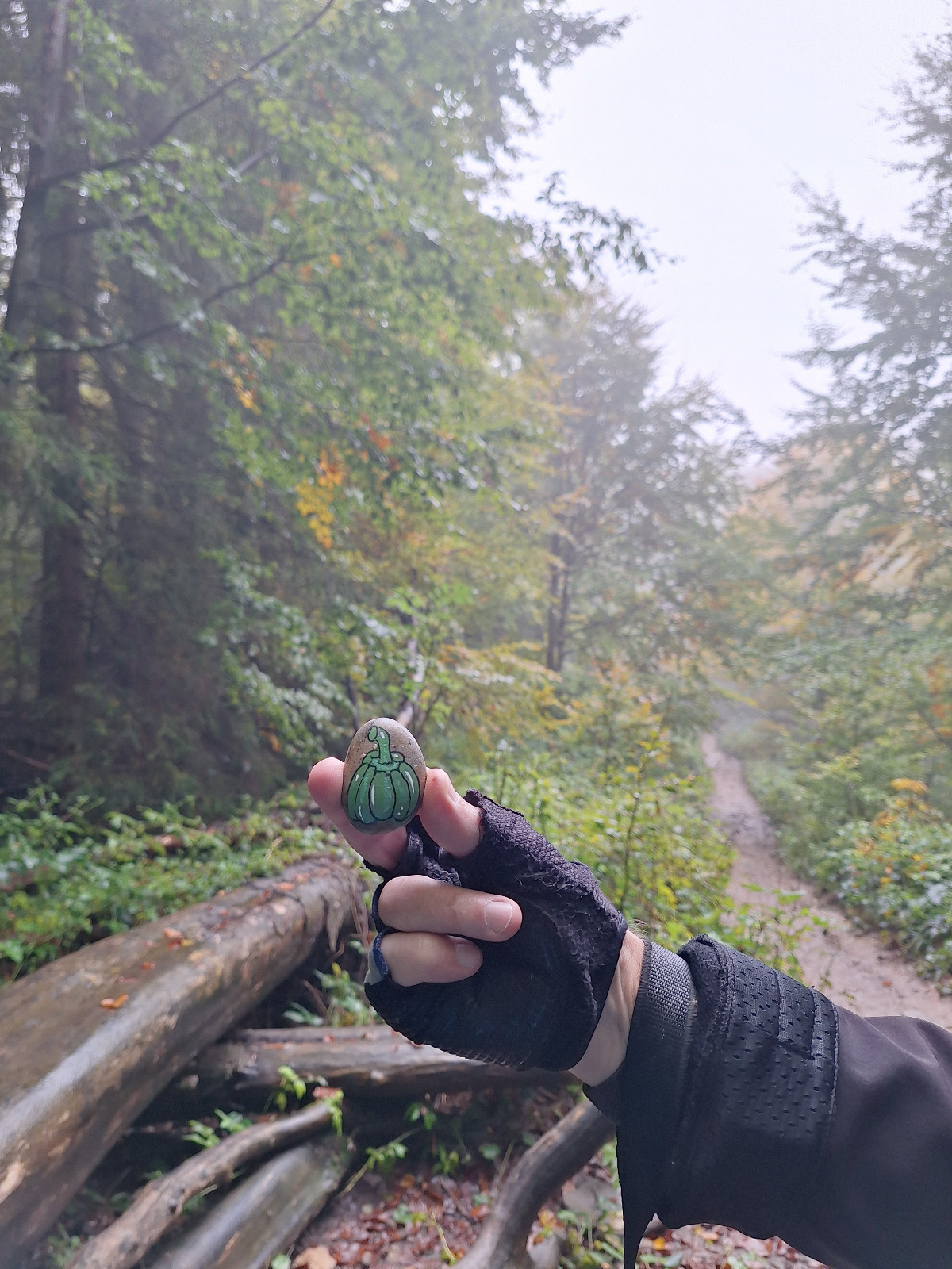 658574cb-38ef-4073-990f-c53fec1c0969