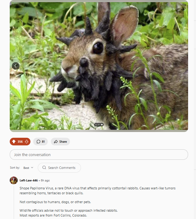 76c4f003-85c3-44e3-bcae-19f33725254b