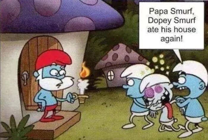 2d93c8d8-df57-4bf6-96b6-07a9ff1d2d47