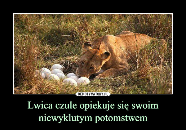 ed8161fe-3d4a-42d7-abbf-f02822223cb6