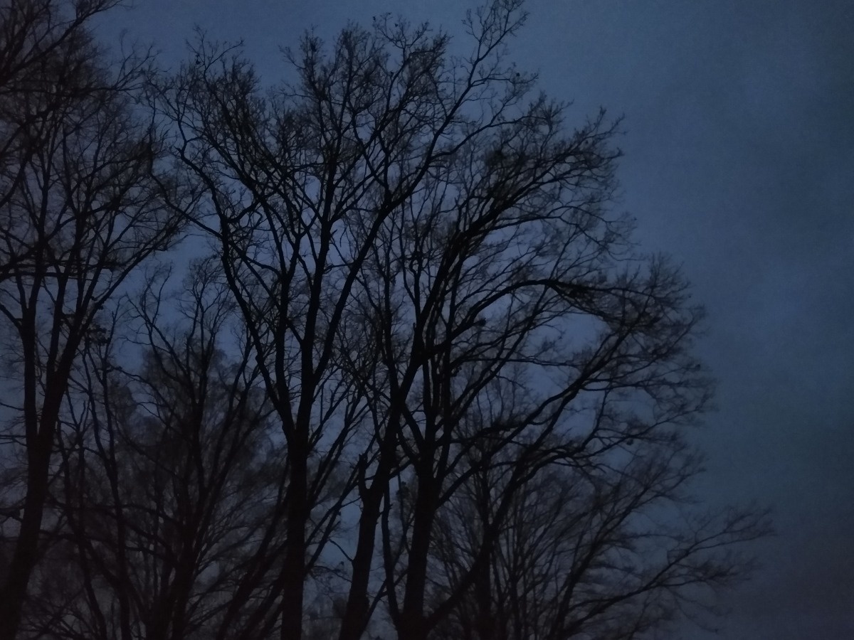 941711b9-66e7-4e3f-8dd6-37919a836939