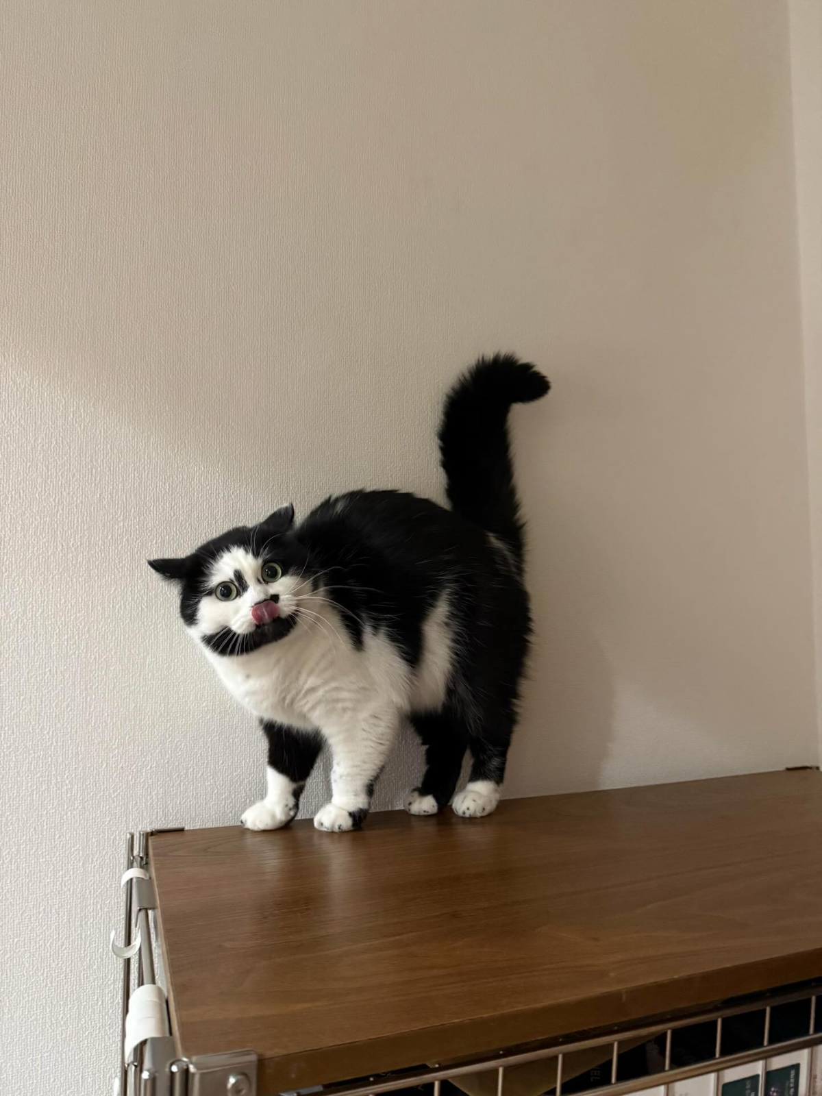 dc1d47d1-2fd8-430e-9f1d-c0da521a8e44