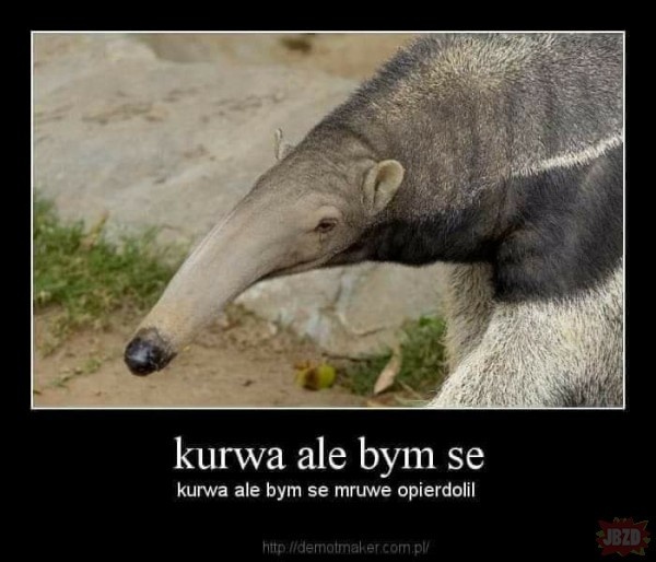 f557c457-4550-4b05-aa71-6bf286680fba